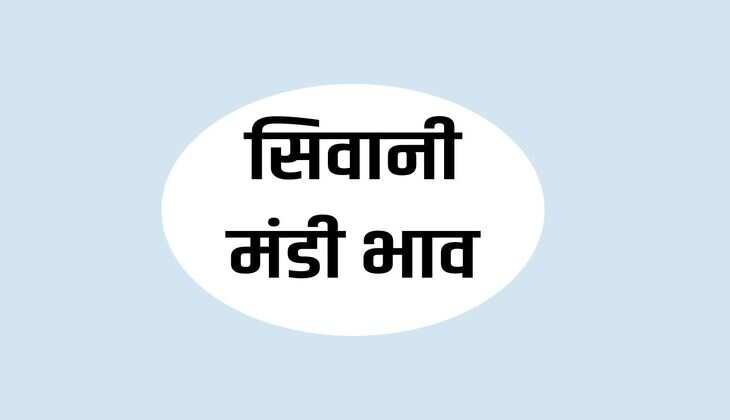 सिवानी मंडी भाव 7 फरवरी 2024: चना, सरसों, गेहूं, बाजरा, मूंग, जौ समेत अन्य उपज रेट