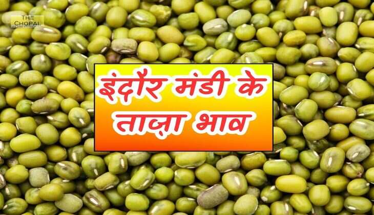 इंदौर मंडी के ताज़ा भाव 