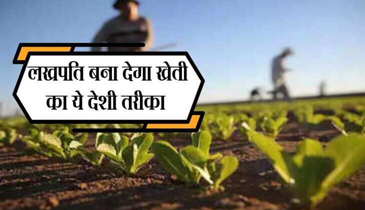 Sand farming: लखपति बना देगा खेती का ये देशी तरीका, किसानों के लिए होगा फायदेमंद साबित  