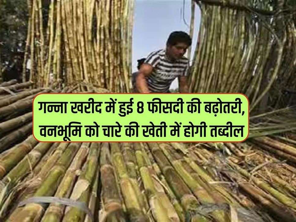 Farmers News : गन्ना खरीद में हुई  8 फीसदी की बढ़ोतरी, वनभूमि को चारे की खेती में होगी तब्दील 