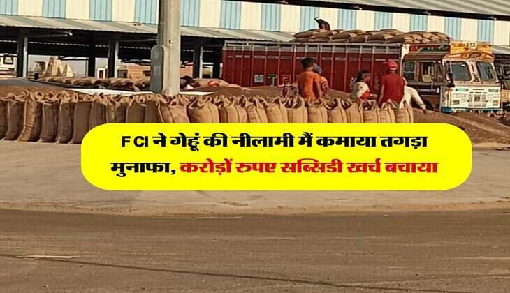 FCI ने गेहूं की नीलामी मैं कमाया तगड़ा मुनाफा, करोड़ों रुपए सब्सिडी खर्च बचाया