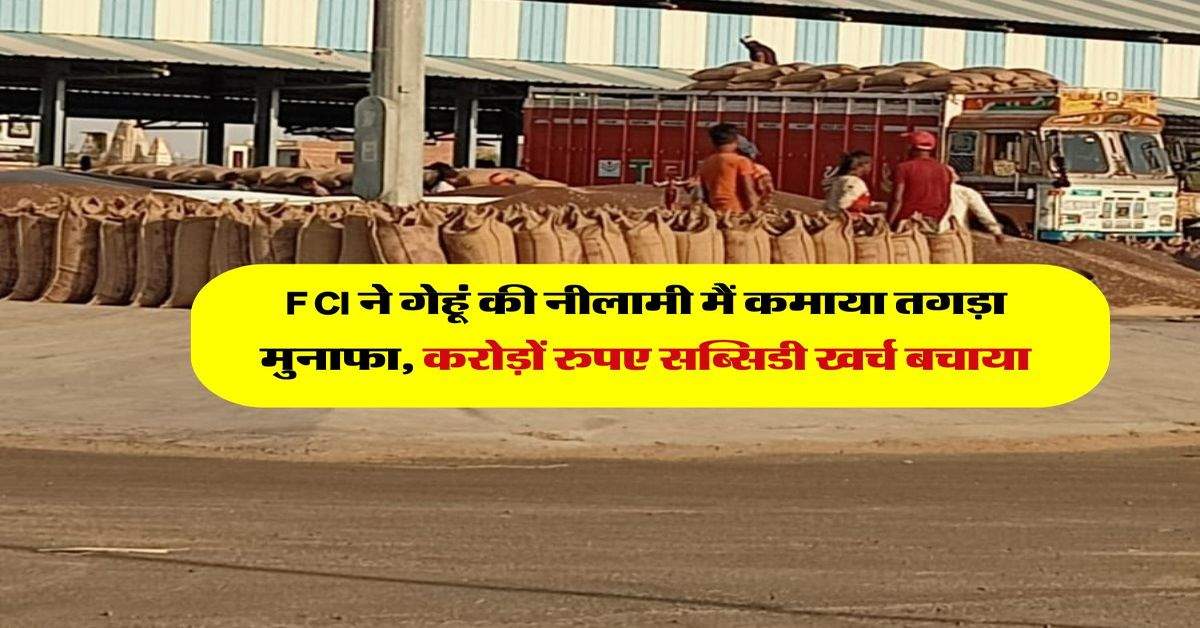 FCI ने गेहूं की नीलामी मैं कमाया तगड़ा मुनाफा, करोड़ों रुपए सब्सिडी खर्च बचाया