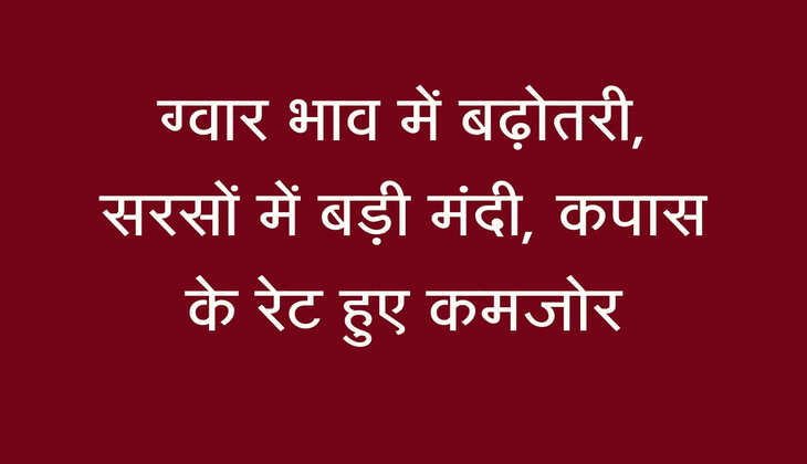 नोहर-आदमपुर मंडी भाव: ग्वार भाव में बढ़ोतरी, सरसों में बड़ी मंदी, कपास के रेट हुए कमजोर