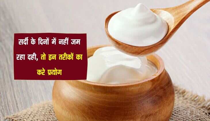 सर्दी के दिनों में नहीं जम रहा दही, तो इन तरीकों का करे प्रयोग