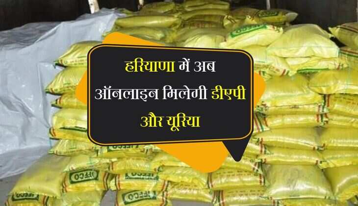 हरियाणा में अब ऑनलाइन मिलेगी डीएपी और यूरिया, किसानों की परेशानी होगी कम