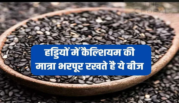 हड्डियों में कैल्शियम की मात्रा भरपूर रखते है ये बीज