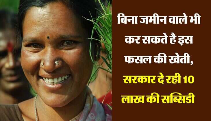 बिना जमीन वाले भी कर सकते है इस फसल की खेती,  सरकार दे रही 10 लाख की सब्सिडी 