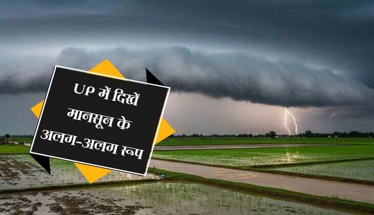 UP में दिखें मानसून के अलग-अलग रूप, इन इलाकों में भारी बारिश की संभावना, झमाझम बरसेंगे बादल