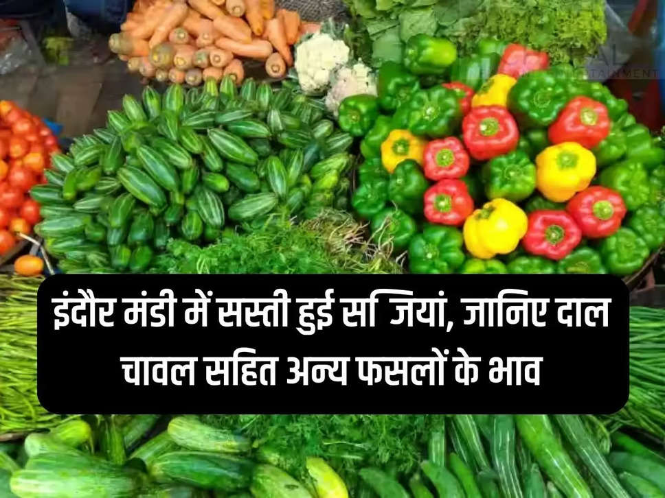 इंदौर मंडी में सस्ती हुई सब्जियां, जानिए दाल चावल सहित अन्य फसलों के भाव