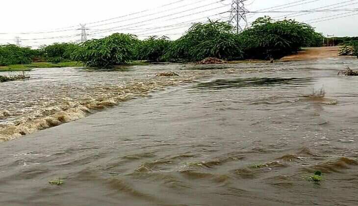 Jaipur: 4 दशकों बाद ढूंढ नदी में आया तेज बहाव से पानी, 40 गांवों का आपस में संपर्क टूटा