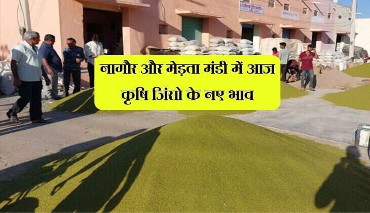 Mandi Bhav: नागौर और मेड़ता मंडी में आज कृषि जिंसो के नए भाव, आया मामूली उछाल