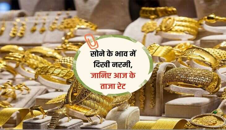 Gold Silver Price Today : सोने के भाव में दिखी नरमी, जानिए आज के ताजा रेट
