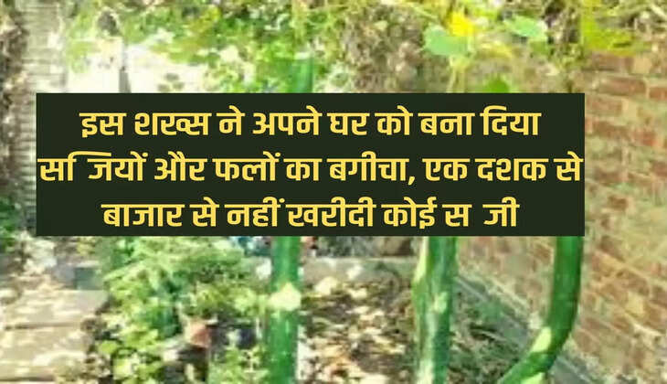 इस शख्स ने अपने घर को बना दिया सब्जियों और फलों का बगीचा, एक दशक से बाजार से नहीं खरीदी कोई सब्जी