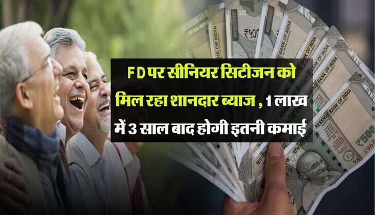 senior citizen : FD पर सीनियर सिटीजन को मिल रहा शानदार ब्याज , 1 लाख में 3 साल बाद होगी इतनी कमाई 