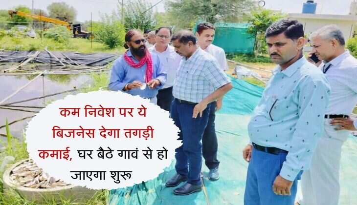 Pearl Farming Business : कम निवेश पर ये बिजनेस देगा तगड़ी कमाई, घर बैठे गावं से हो जाएगा शुरू 