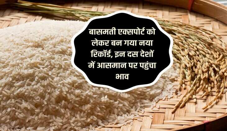 बासमती एक्सपोर्ट को लेकर बन गया नया रिकॉर्ड, इन दस देशों में आसमान पर पहुंचा भाव