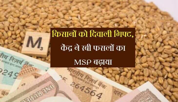 MSP New List: किसानों को दिवाली गिफ्ट,केंद्र ने रबी फसलों का MSP बढ़ाया, छह फसलों की कीमतों में बढ़ोतरी