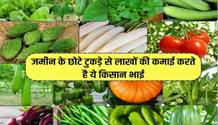 These farmer brothers earn lakhs from a small piece of land, the annual income is Rs 15 to 18 lakh.