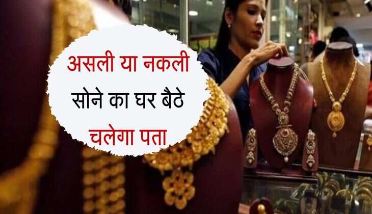 Gold Purity : असली या नकली सोने का घर बैठे चलेगा पता, पढ़ ले जानकारी 