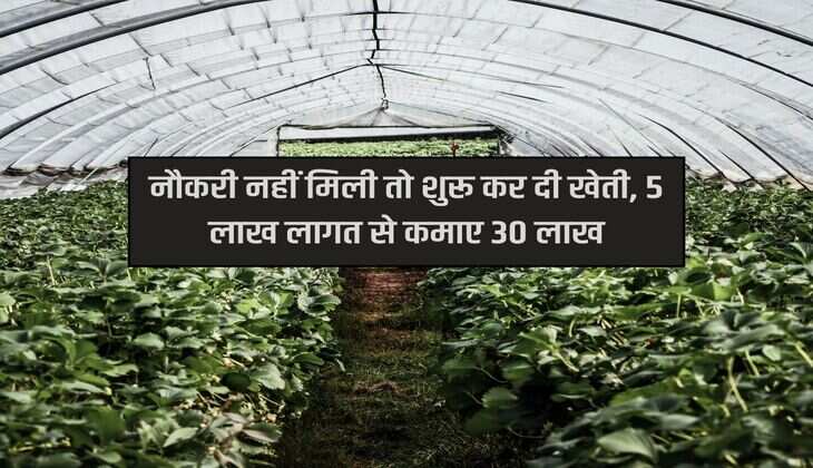 Success Story :  नौकरी नहीं मिली तो शुरू कर दी खेती, 5 लाख लागत से कमाए 30 लाख