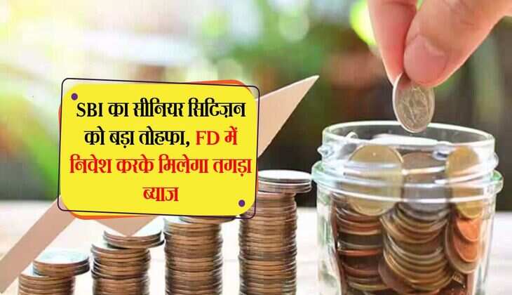 SBI का सीनियर सिटिज़न को बड़ा तोहफा, FD में निवेश करके मिलेगा तगड़ा ब्याज