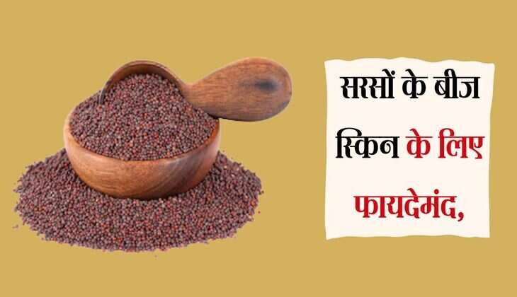 Sarso Beej: सरसों के बीज स्किन के लिए फायदेमंद, सेहत को मिलते हैं कई लाभ
