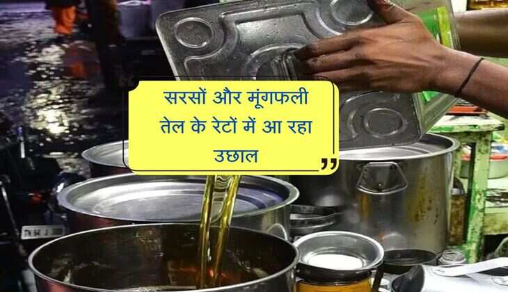 सरसों और मूंगफली तेल के रेटों में आ रहा उछाल, महंगाई से जेब पर पड़ रहा असर