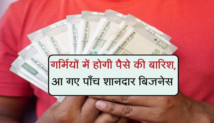 Business Ideas: गर्मियों में होगी पैसे की बारिश, आ गए पाँच शानदार बिजनेस 