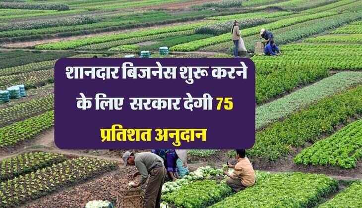 Agri Business Idea: महंगाई से राहत दिलाने वाला शानदार बिजनेस आइडीया, सरकार देगी 75 प्रतिशत अनुदान 