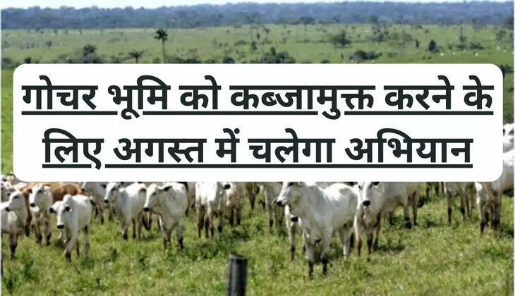 गोचर भूमि को कब्जामुक्त करने के लिए अगस्त में चलेगा अभियान, लगाया जाएगा हरा चारा