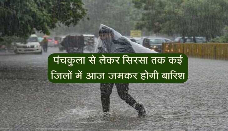 IMD: हरियाणा में मानसूनी बादल छाए, पंचकुला से लेकर सिरसा तक कई जिलों में आज जमकर होगी बारिश