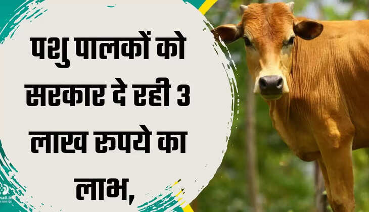 Pashu Kisan Credit Card