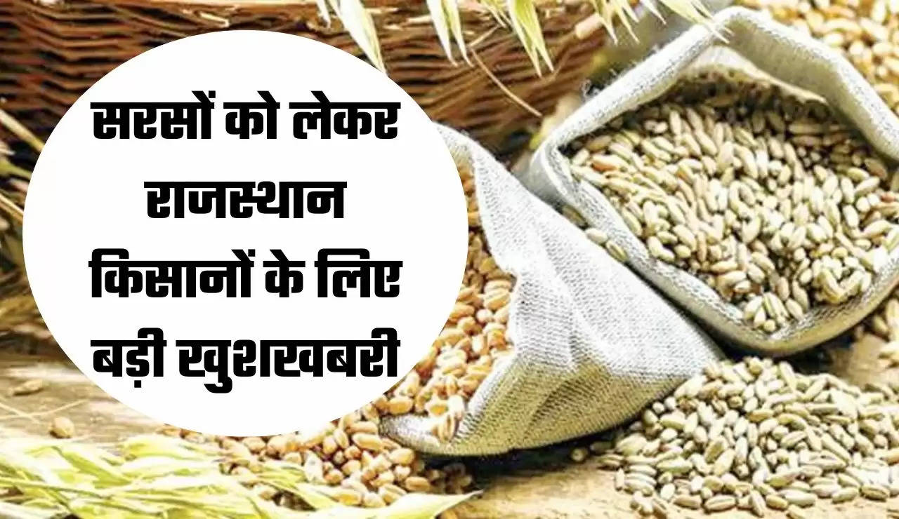 मोटे अनाज को लेकर राजस्थान के किसानों के लिए बड़ी खबर