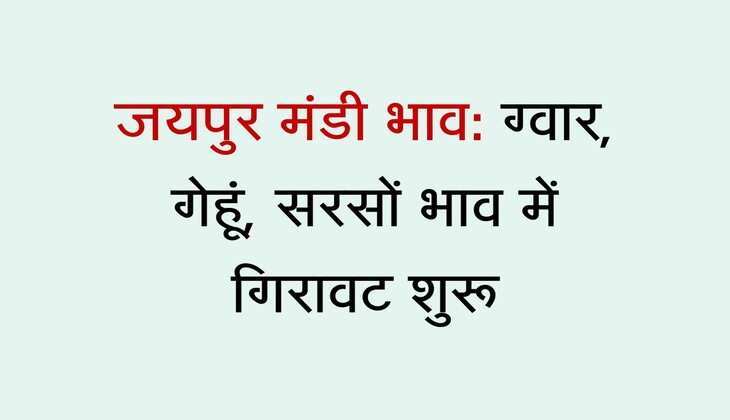 जयपुर मंडी भाव: ग्वार, गेहूं, सरसों भाव में गिरावट शुरू, खाद्य तेल और मुंग रेट हुए कमजोर
