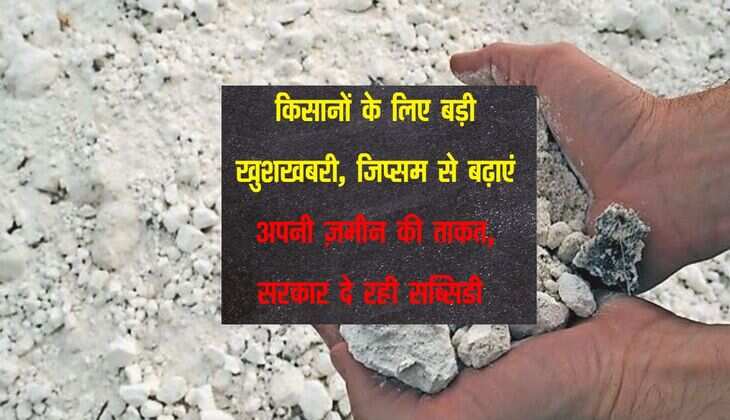 किसानों के लिए बड़ी खुशखबरी, जिप्सम से बढ़ाएं अपनी ज़मीन की ताकत,  सरकार दे रही सब्सिडी 