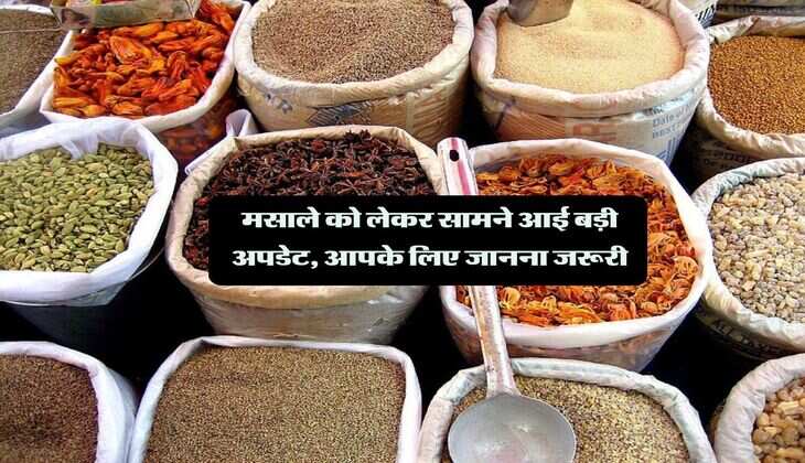मसाले को लेकर सामने आई बड़ी अपडेट, आपके लिए जानना जरूरी