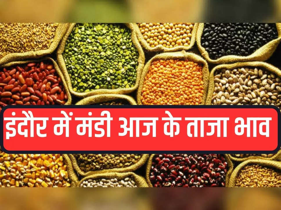 Indore Mandi Bhav: Slowdown in pulses business today, know today's latest prices