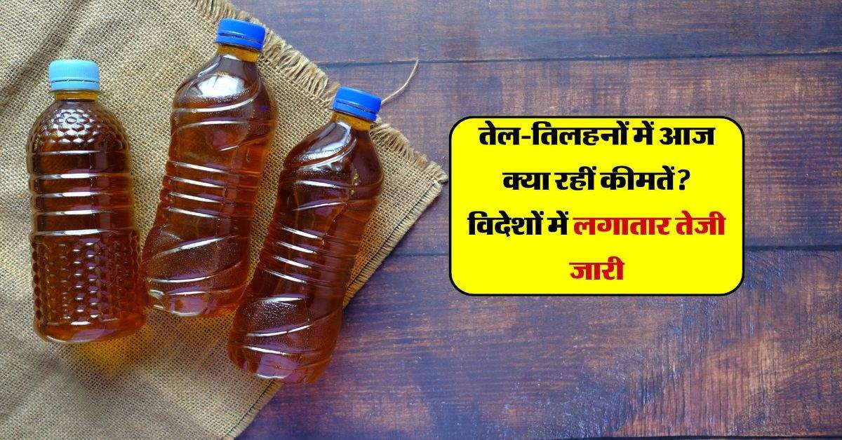 Edible Oil: तेल-तिलहनों में आज क्या रहीं कीमतें? विदेशों में लगातार तेजी जारी