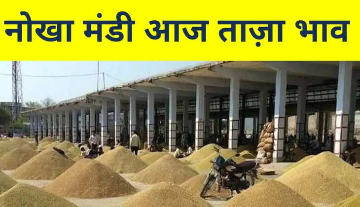 Nokha mandi bhav 23 December 2021