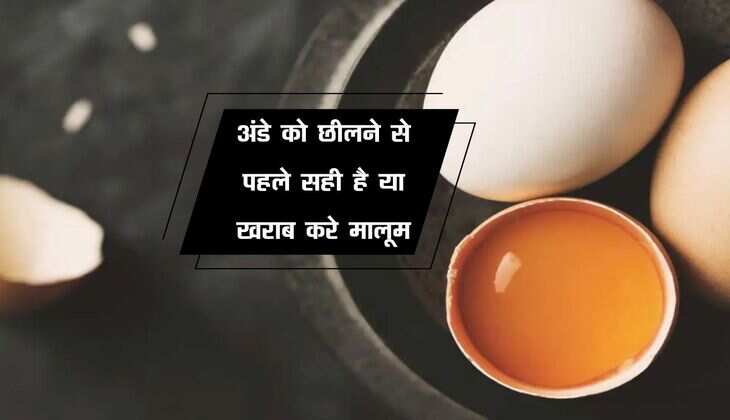 अंडे को छीलने से पहले सही है या खराब करे मालूम, जान लें ये जरूरी तरीके 