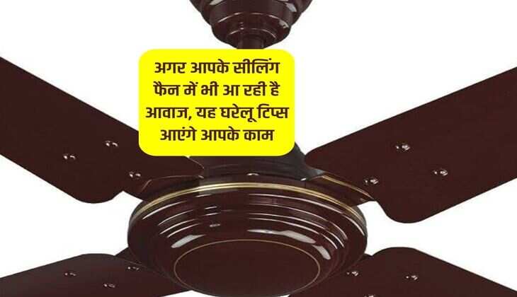 अगर आपके सीलिंग फैन में भी आ रही है आवाज, यह घरेलू टिप्स आएंगे आपके काम