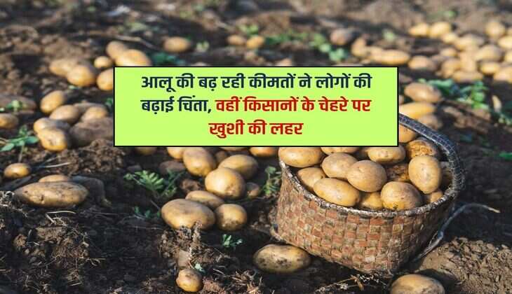 आलू की बढ़ रही कीमतों ने लोगों की बढ़ाई चिंता, वहीं किसानों के चेहरे पर खुशी की लहर 