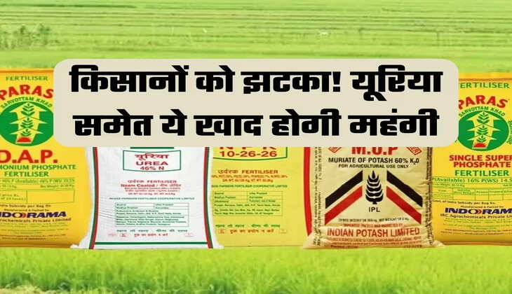 Fertilizer Subsidy, DAP Subsidy, Subsidy On Fertilizers, Monsoon, Monsoon Rain, Indian Farmer Cabinet Decision, Cabinet Meeting, Mansukh Mandavia, Ashwini Vaishnaw, PLI Scheme, Urea Subsidy, Kharif Season"