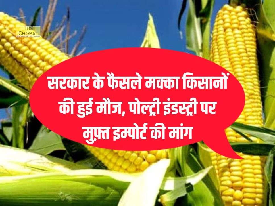 सरकार के फैसले मक्का किसानों की हुई मौज, पोल्ट्री इंडस्ट्री पर मुफ़्त इम्पोर्ट की मांग