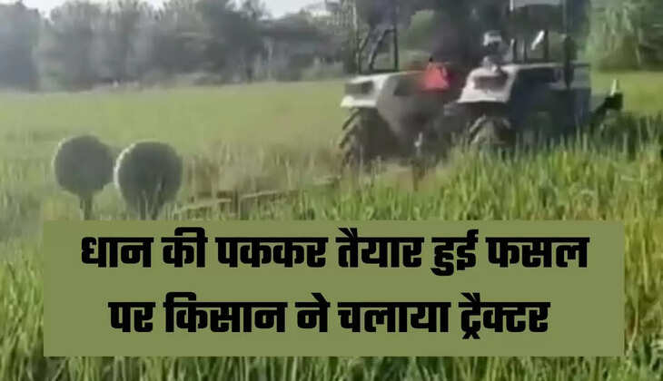 Haryana News in Hindi