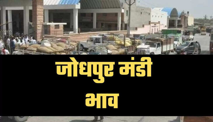 Jodhpur Mandi Bhav