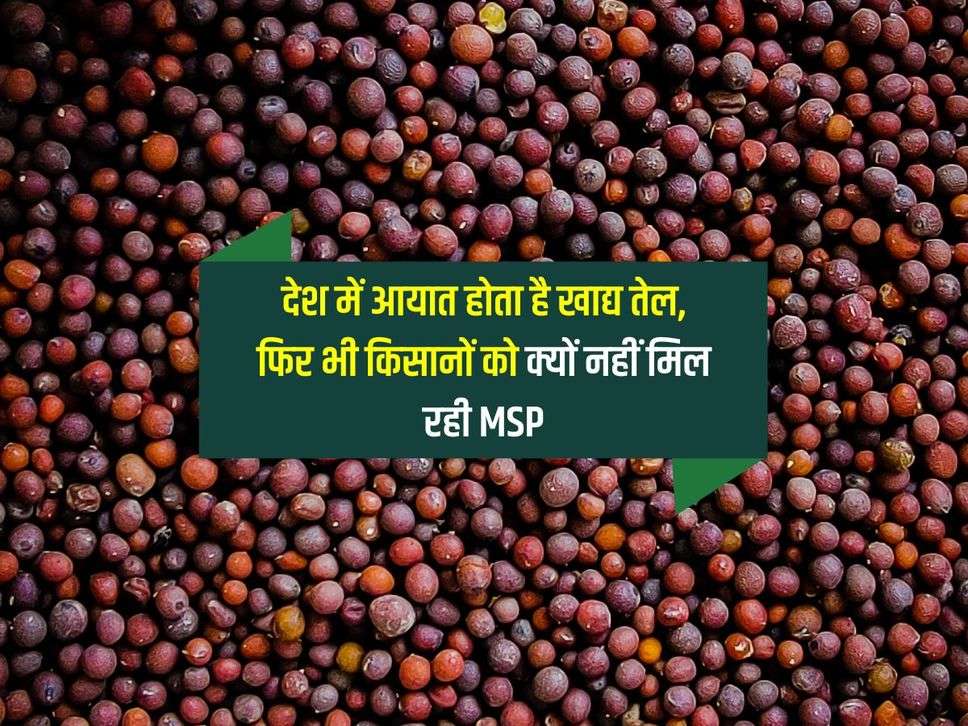 देश में आयात होता है खाद्य तेल, फिर भी किसानों को क्यों नहीं मिल रही MSP