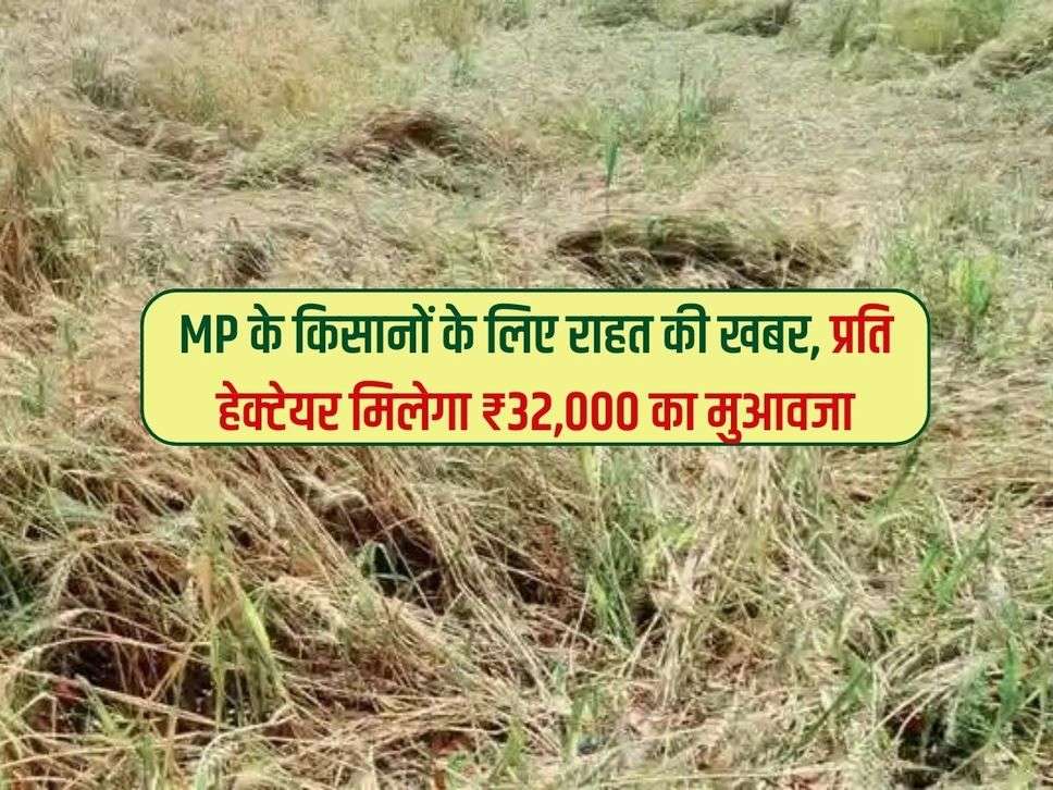 MP के किसानों के लिए राहत की खबर, प्रति हेक्टेयर मिलेगा ₹32,000 का मुआवजा