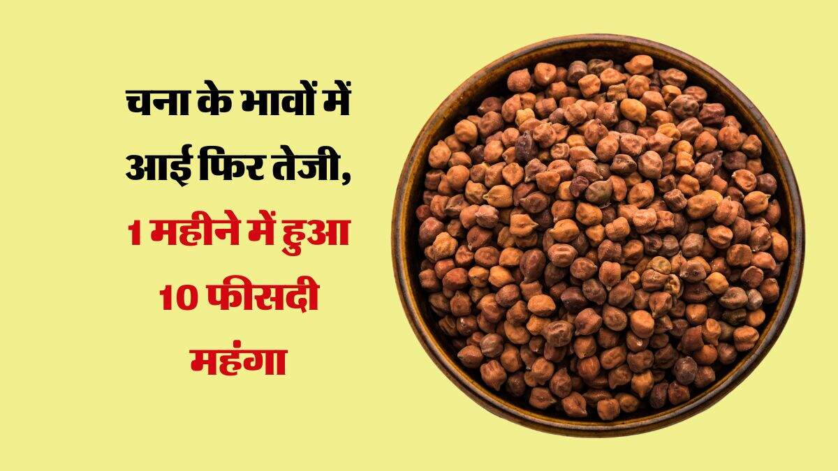 Chana: चना के भावों में आई फिर तेजी, 1 महीने में हुआ 10 फीसदी महंगा