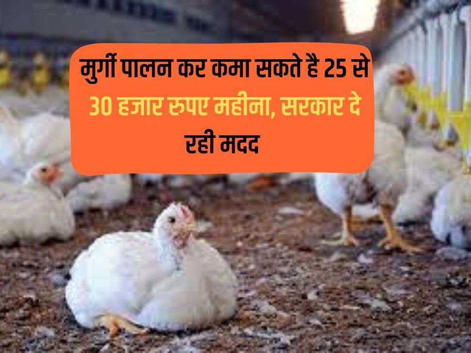 You can earn 25 to 30 thousand rupees per month by rearing poultry, government is providing help.